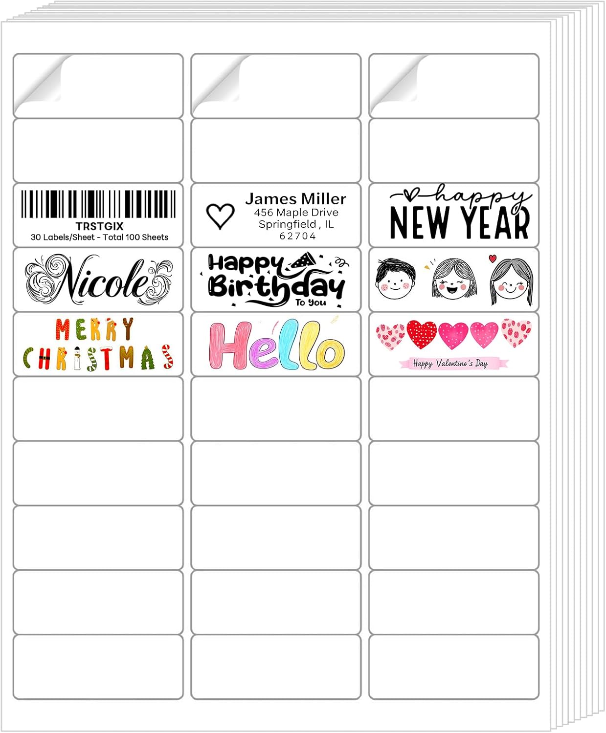 1" x 2-5/8" Address Labels for Laser & Inkjet Printers, 3000 Labels (100 Sheets)